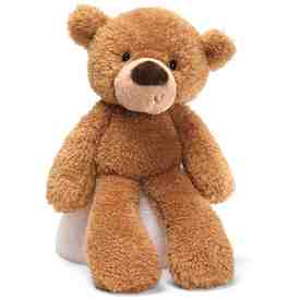 Gund Fuzzy Teddy Bear